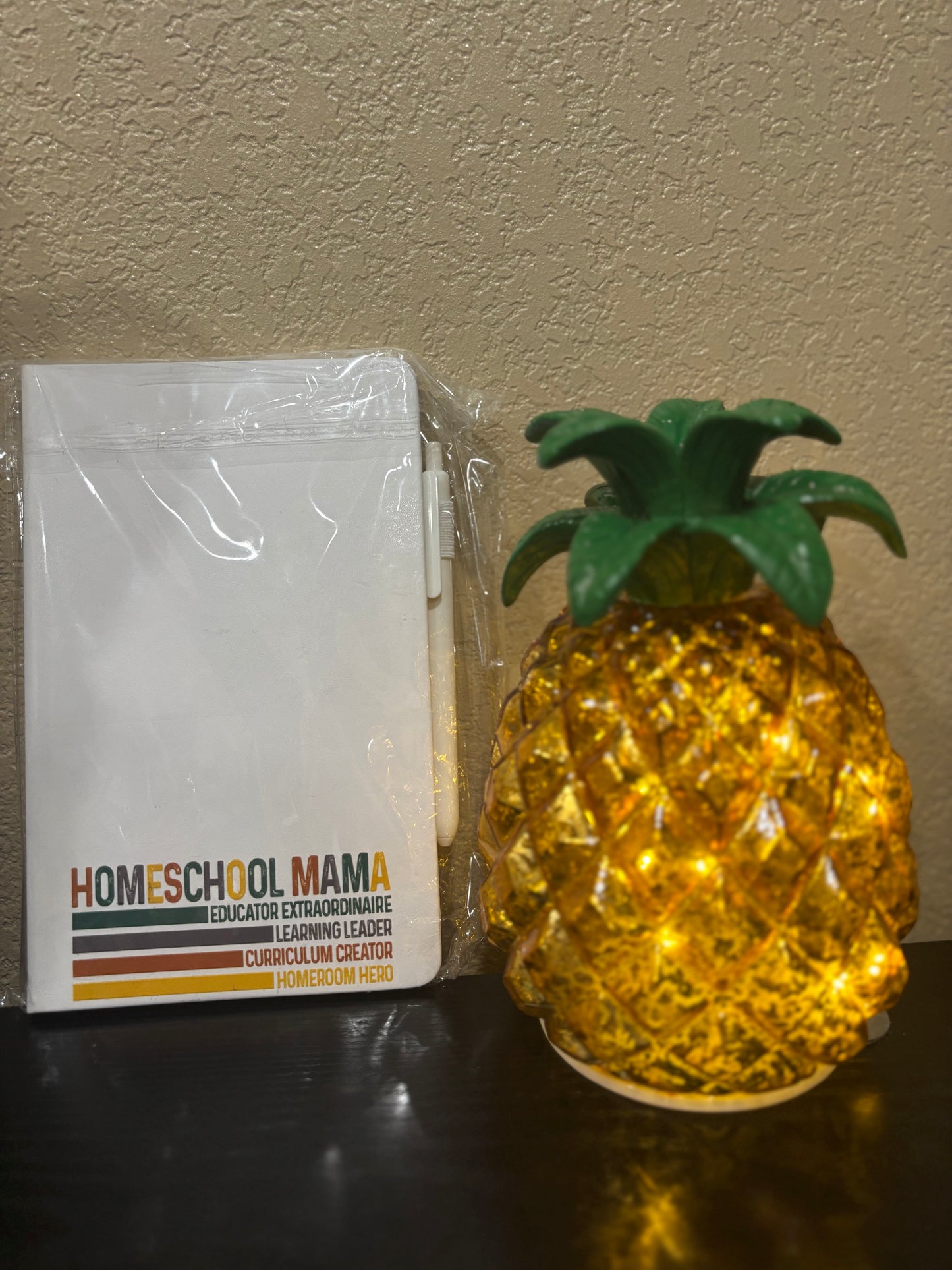 Homeschool mama notebook