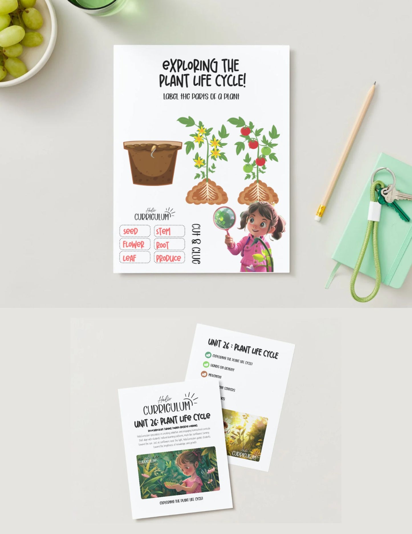 Unit 26 Plant Life Cycle | Hands-On Science, Art, and Movement Activities for Ages 5–10 | HelioCurriculum™